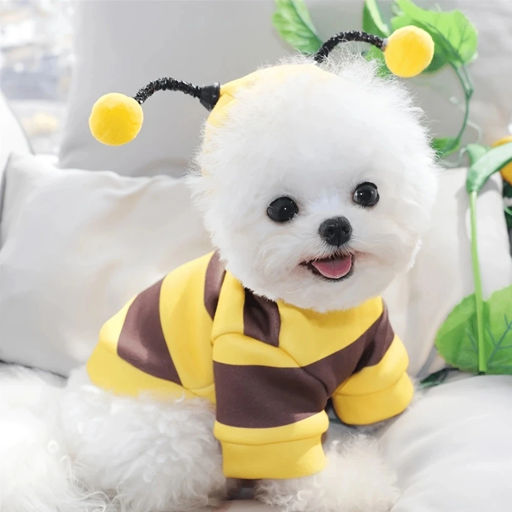 Roupa de Abelha para Cães e Gatos Pequenos e Médios Fácil de Usar - Imagem 3