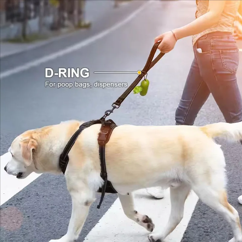 Coleira de Treinamento para Cães Grandes com Corda Náilon Refletiva - Imagem 2
