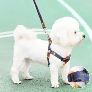 coleira para cães para passeio