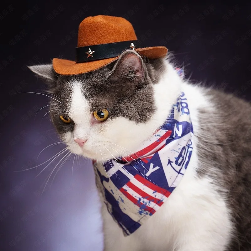 Chapéu de Cowboy para Cães e Gatos Ajustável para Passeio - Imagem 3