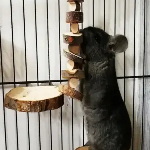 brinquedo de mastigar para hamster