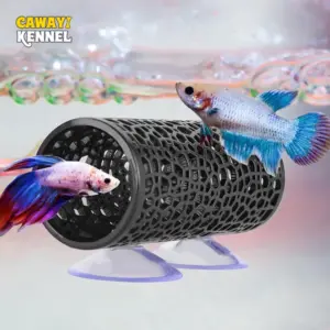 túnel de peixes betta com ventosa