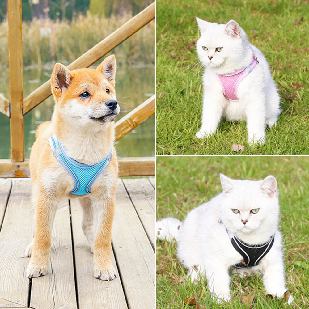 Colete Peitoral para Cães e Gatos Refletivo Ajustável para Passeio - Image 4