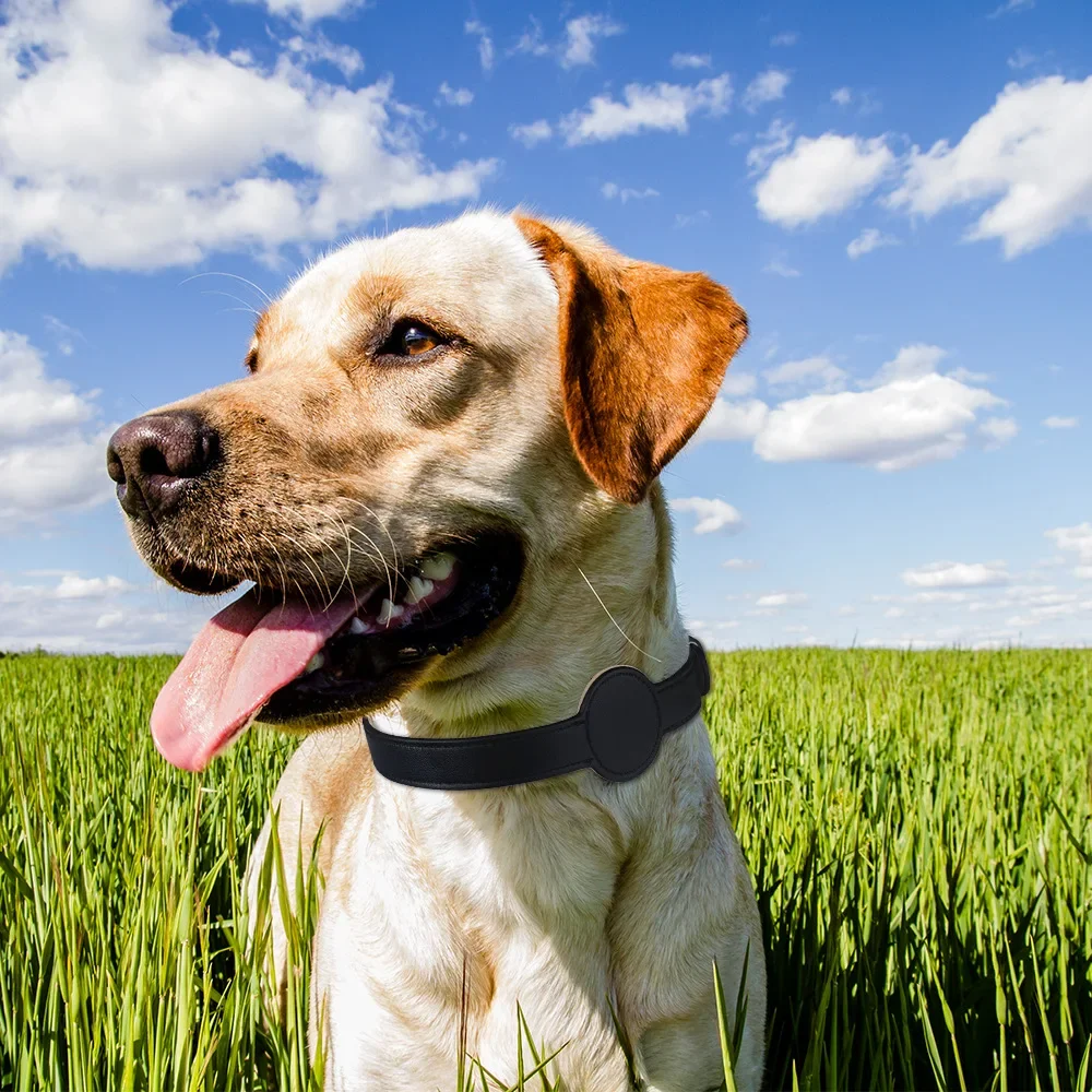 Coleira para Cães e Gatos com Suporte AirTag Ajustável em Couro Sintético - Imagem 6