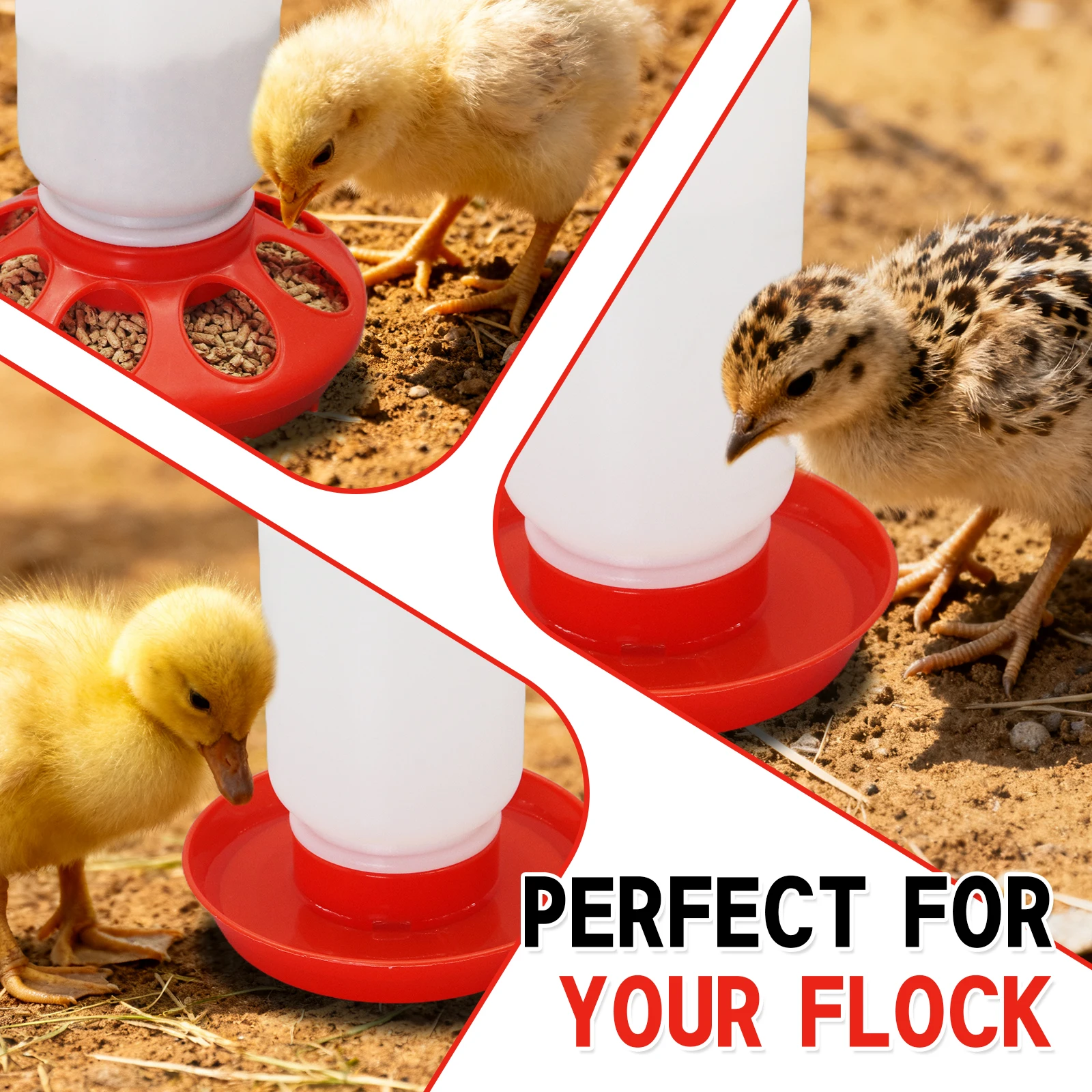 Bebedouro e Comedouro para Aves 1 L Plástico com Bandeja Coletora - Imagem 6