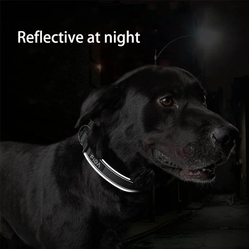Coleira Ajustável para Cães Médios e Grandes Refletiva - Image 6