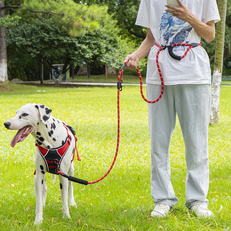 Coleira de Corda para Cães Grandes com Alça Acolchoada 2,4m - Imagem 5