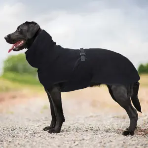 colete quente para cães