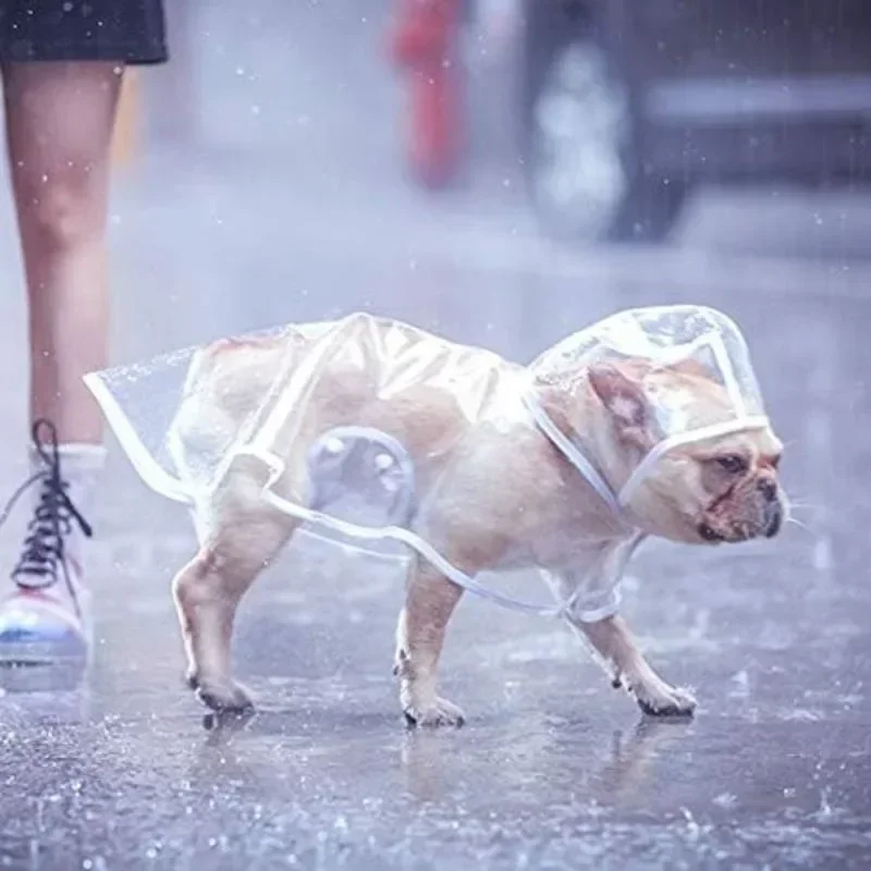 Capa de Chuva para Cães Transparente com Capuz para Passeios - Image 2