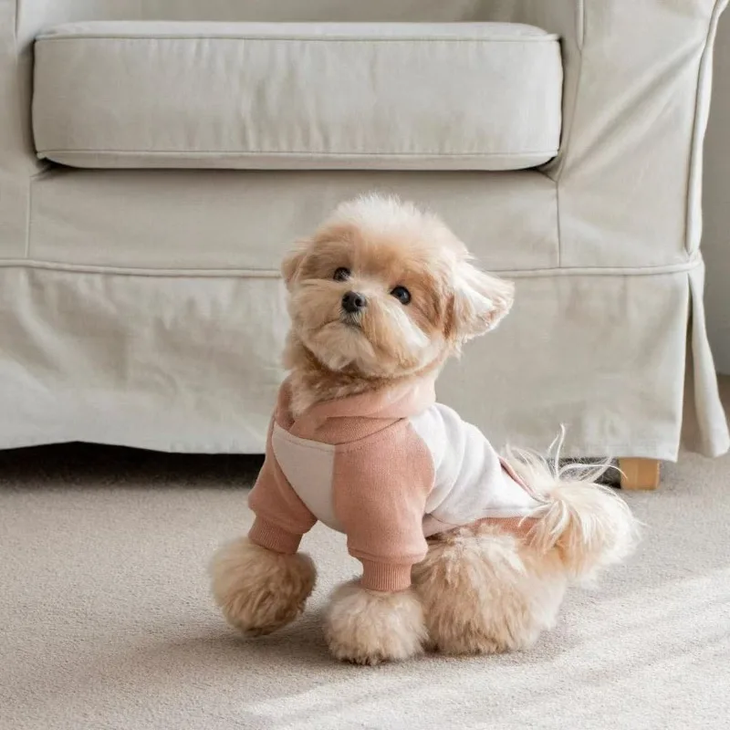 Moletom para Cães de Lã para Cães Pequenos e Médios - Imagem 3