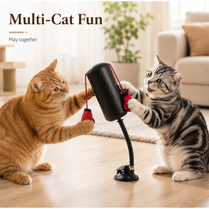 Brinquedo de Boxe para Gatos Interativo Multifuncional - Image 4