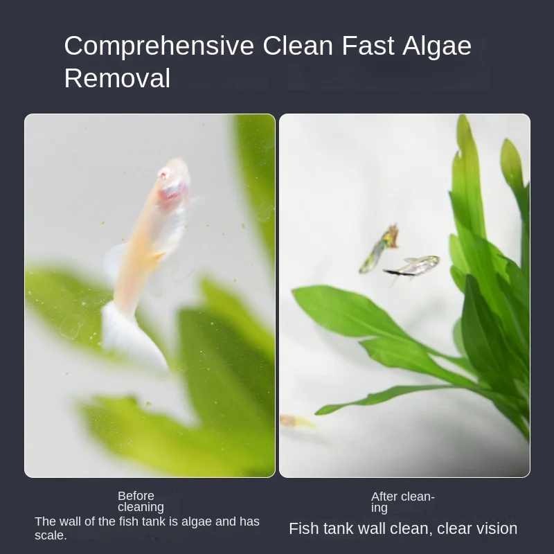 Mini Escova Magnética para Aquários Pequenos Quadrada Removedora de Algas - Imagem 4