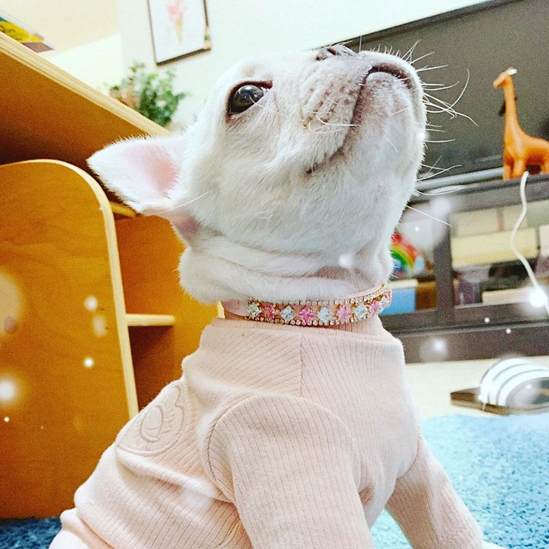 Coleira de Pérolas e Strass para Gatos e Cães Pequenos BRANCO - Imagem 3