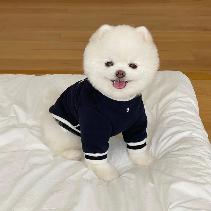 Roupa para Cães de Algodão com Estampa de Leopardo - Image 4