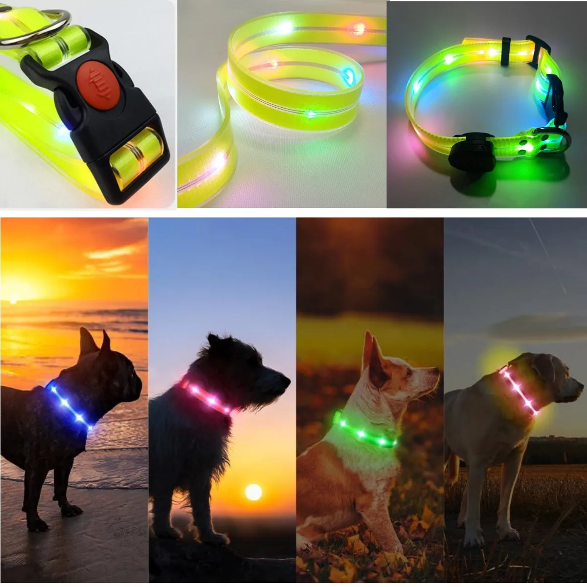 Coleira LED para Cães e Gatos de PVC com Faixa Refletiva - Imagem 5