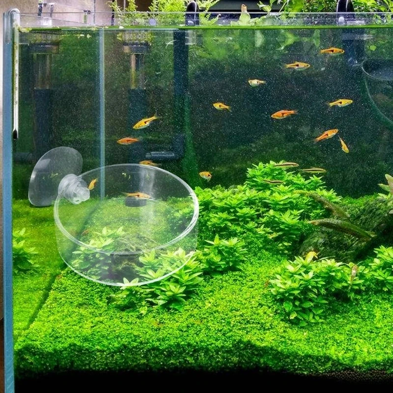 Prato Alimentador para Camarão de Aquário Mini com Ventosa Acrílica - Imagem 2
