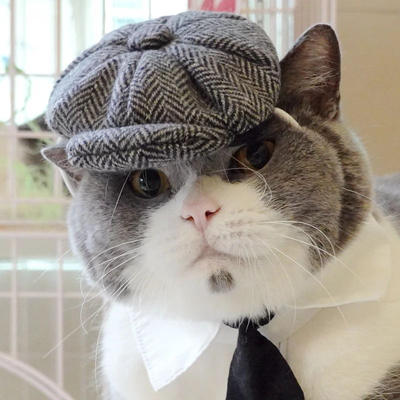 Chapéu Boina para Gatos com Gravata, Acessório para Fantasia - Imagem 6
