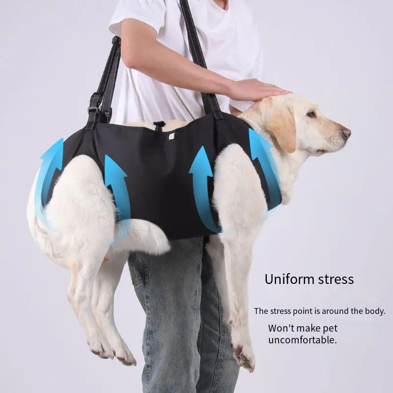 Arnês de Apoio para Cães Ajustável com Alça - Imagem 4