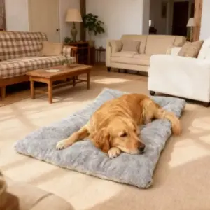 cama sofá de pelúcia para cães