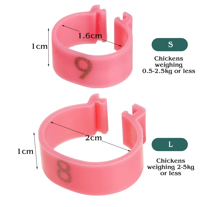 Anel de Perna para Aves 16mm/20mm com Numeração para Identificação - Imagem 5