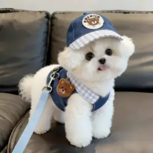 colete arnês ajustável para cães pequenos