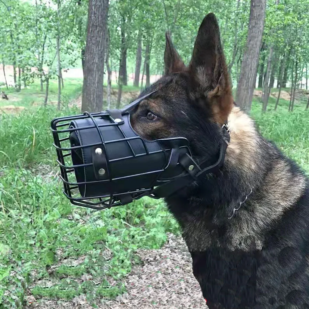 Focinheira Ajustável para Cães Médios e Grandes de Aço Inoxidável - Imagem 5