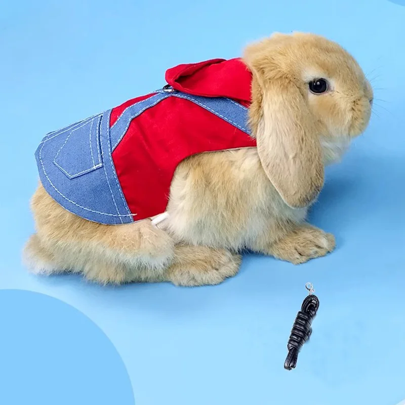 Coleira e Arnês para Animais Pequenos em Jeans - Image 4