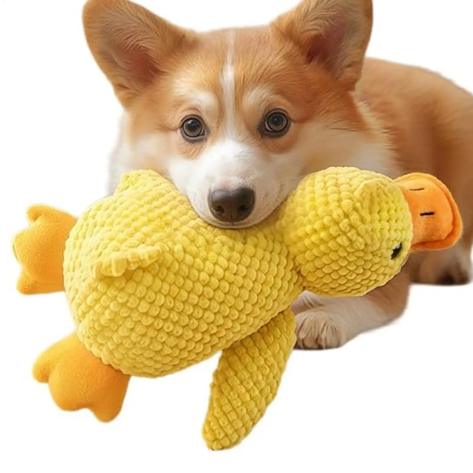 Brinquedo para Cães Pato com Som para Mastigar - Imagem 2