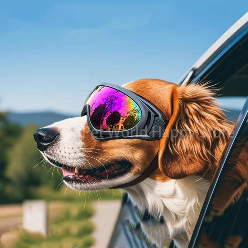 Óculos de Sol para Cães Ajustáveis com Proteção UV para Passeio - Imagem 4