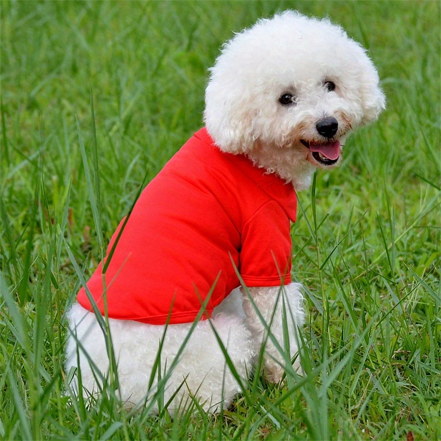 Colete Polo para Cães Pequenos de Algodão para Primavera e Verão - Imagem 3