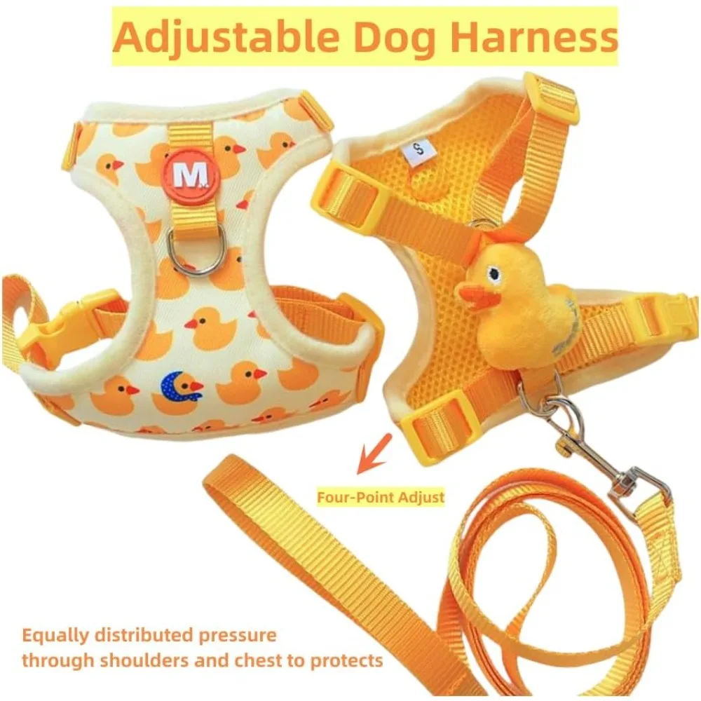 conjunto peitoral e guia para cães pequenos