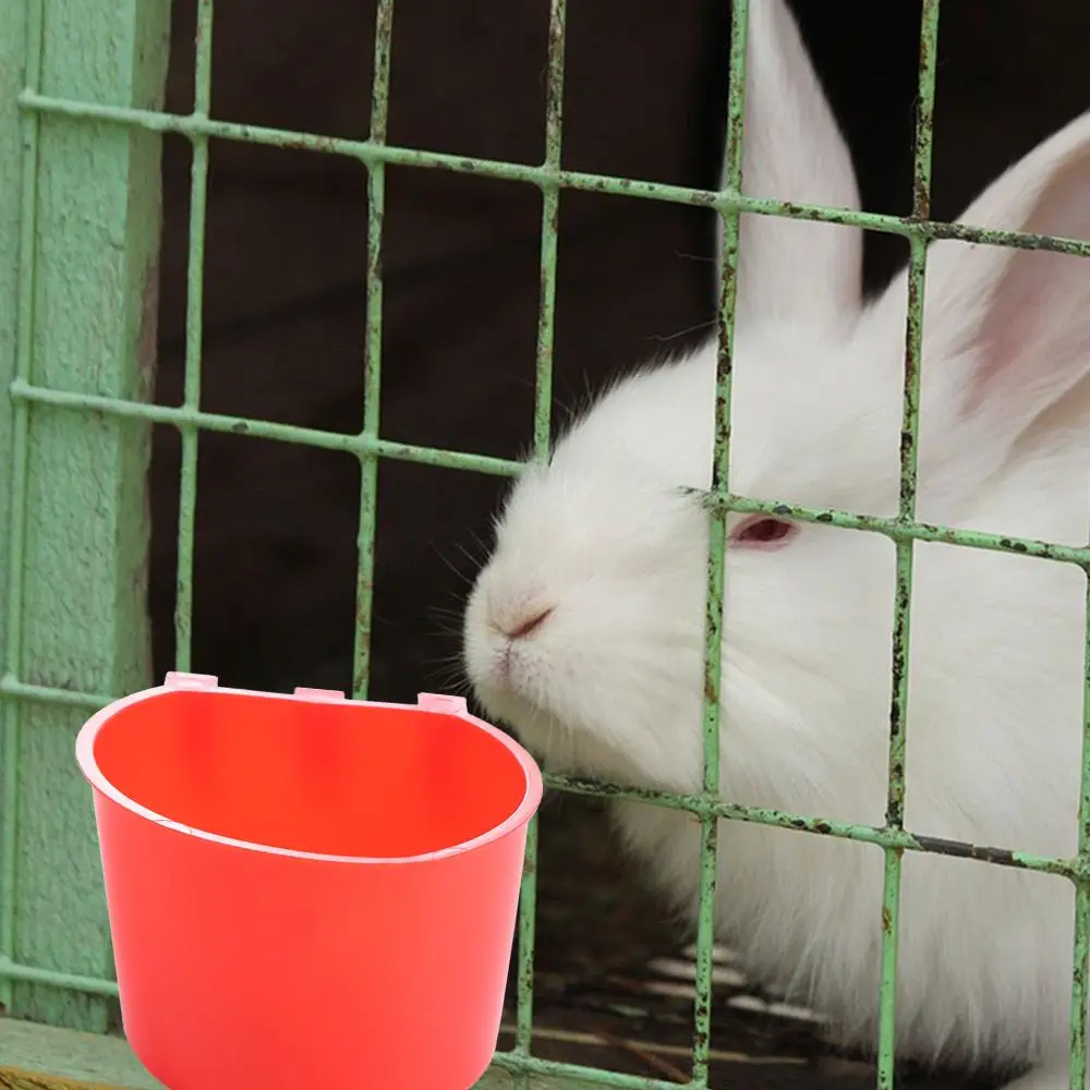 Comedouro Suspenso para Aves e Coelhos de Plástico 8 oz com Gancho - Imagem 4