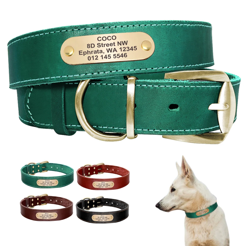 coleira de couro para cães com gravação