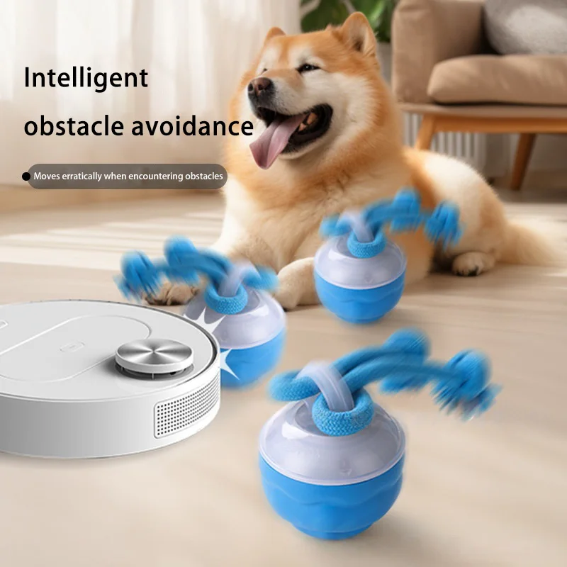 Bola Interativa para Cães Recarregável USB com Movimento Automático - Image 4