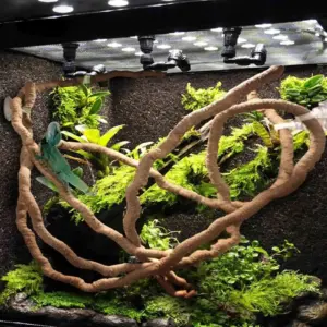 planta decorativa para terrário de répteis