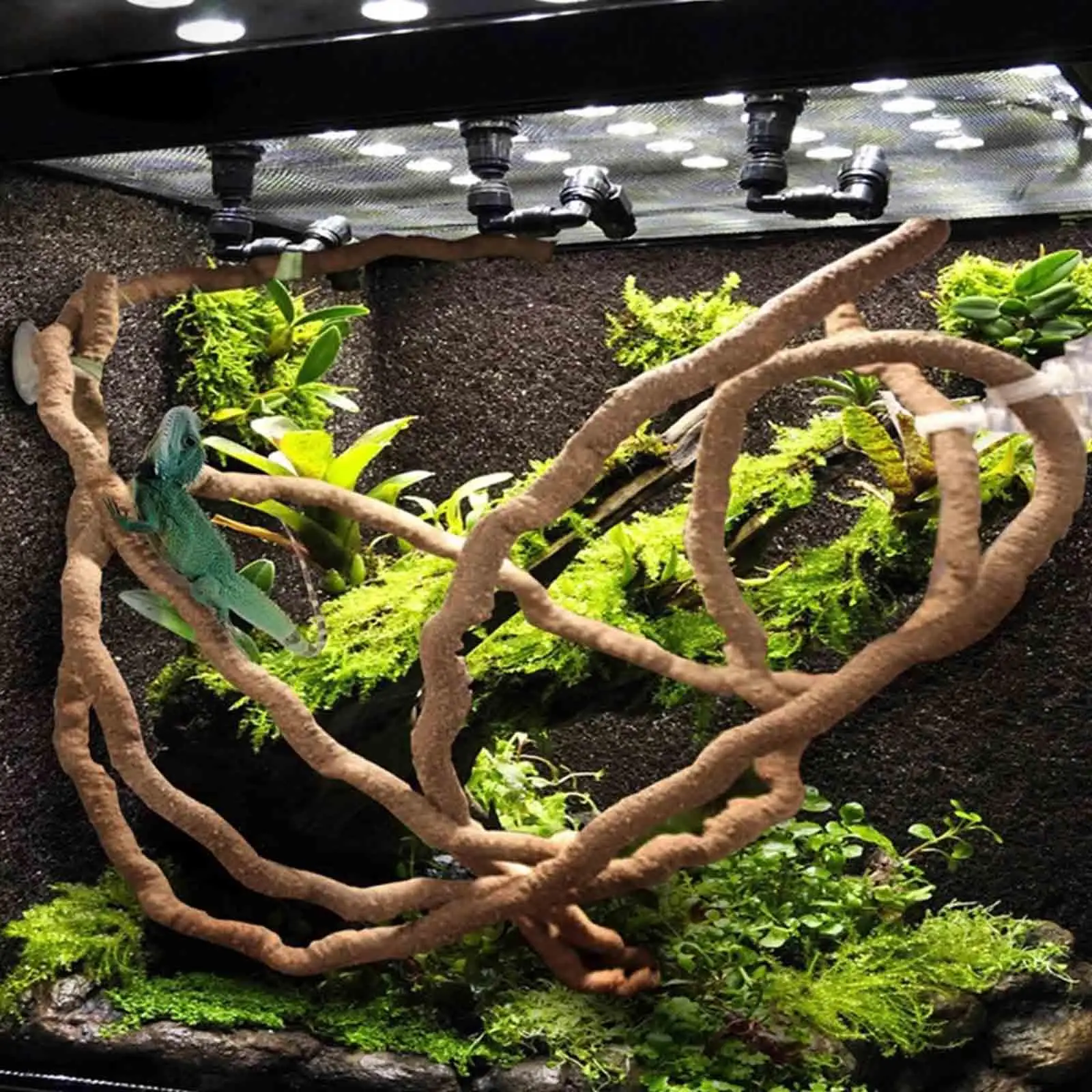 planta decorativa para terrário de répteis