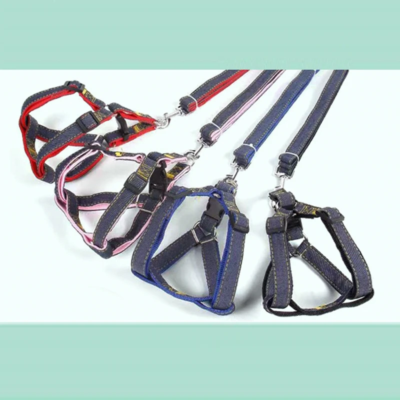 Coleira para Cães de Pequeno a Grande Porte para Passeio - Image 3