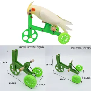 bicicleta para papagaio
