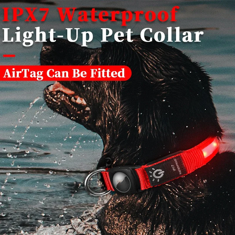 Coleira LED para Cães e Gatos Luminosa com Faixa Refletiva - Imagem 2