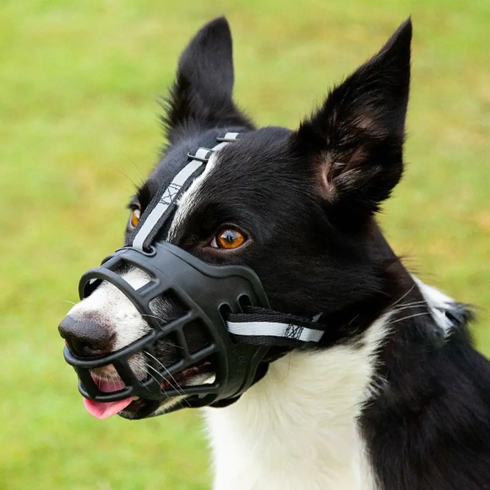 Focinheira Ajustável para Cães de Plástico com Faixa Refletiva - Image 2
