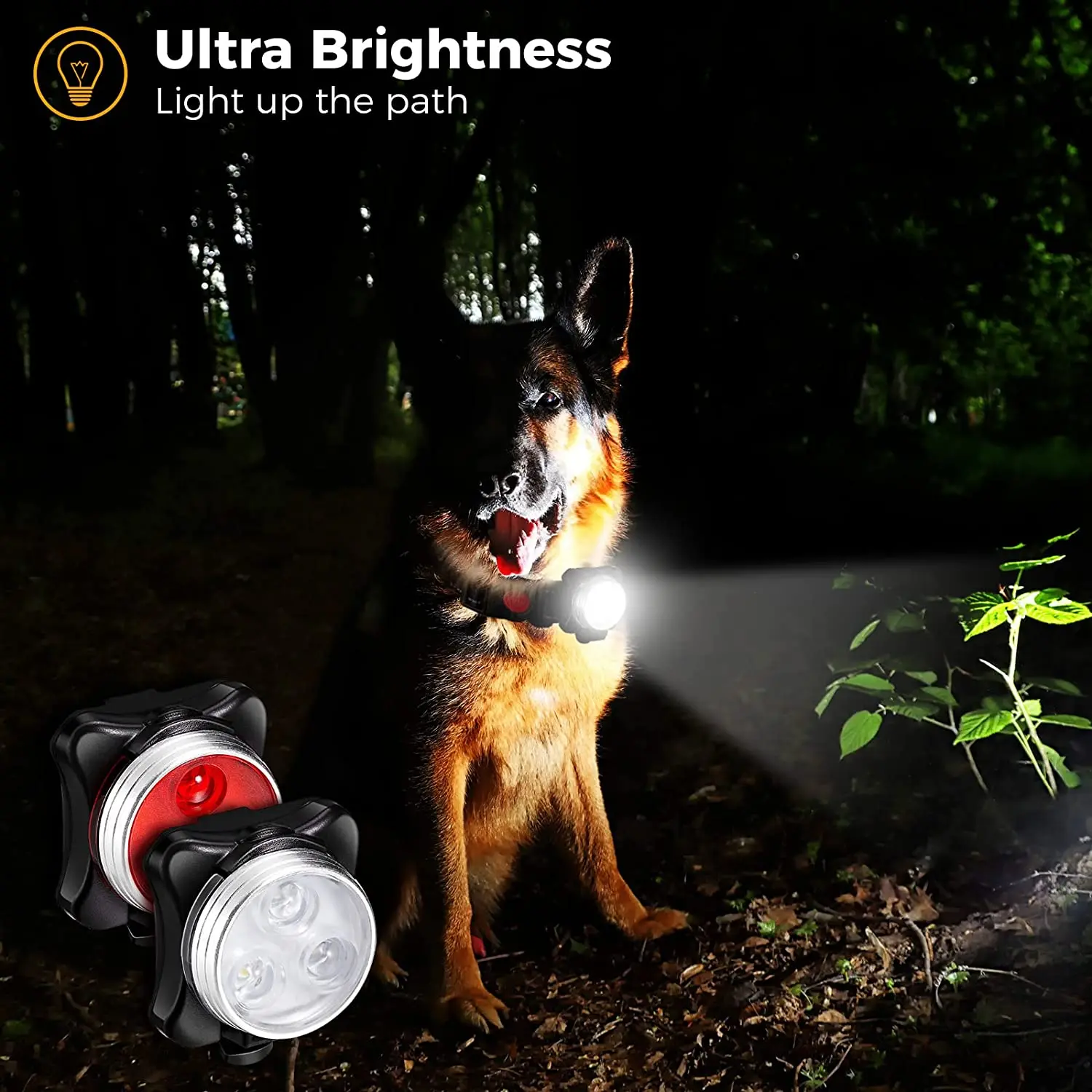 Luz LED para Coleira de Cães Recarregável USB, 4 Modos de Luz - Imagem 2