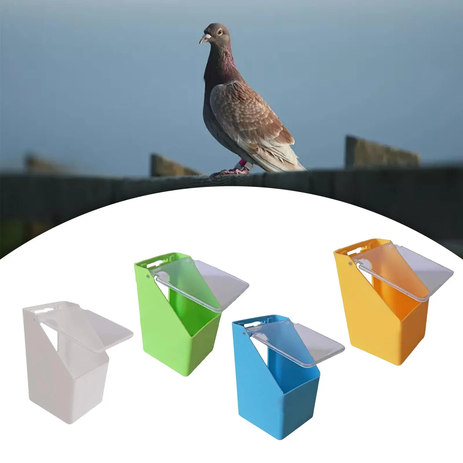 Comedouro para Pássaros e Pombos 14 cm de Plástico com Tampa Transparente - Imagem 3