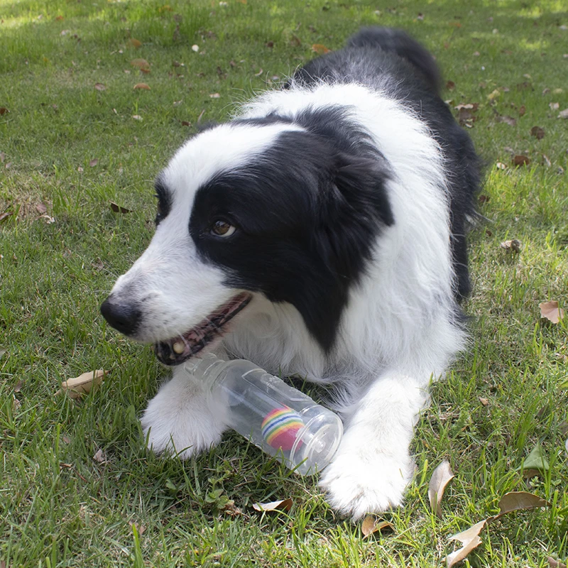 Brinquedo para Cães Garrafa de Cerveja com Bola de Tênis e Som - Imagem 6