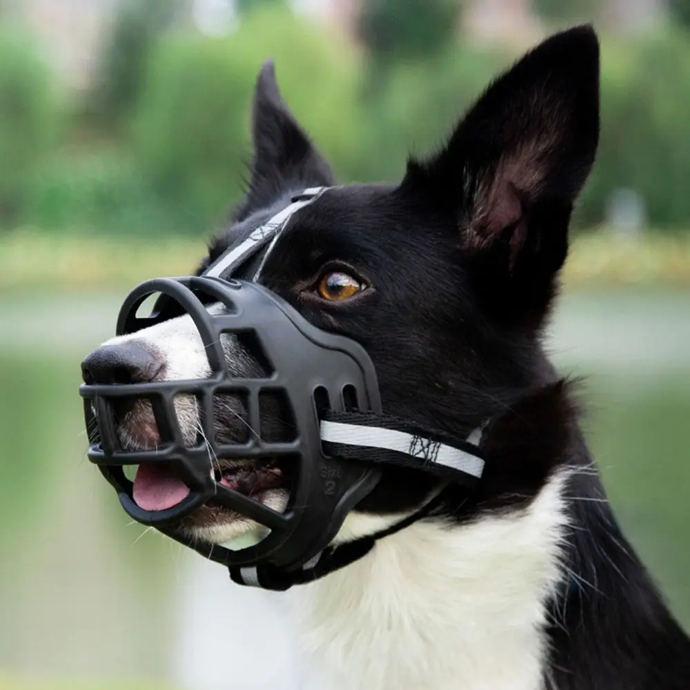 Focinheira Ajustável para Cães com Tira Refletiva e Plástico Respirável - Imagem 4