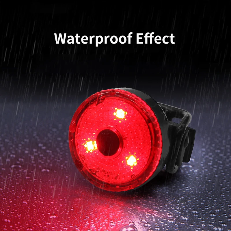 Coleira LED para Cães e Gatos USB Recarregável para Caminhada Noturna - Image 3