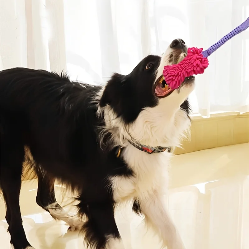 Brinquedo de Corda para Cães com Alça Resistente para Mastigação - Image 4