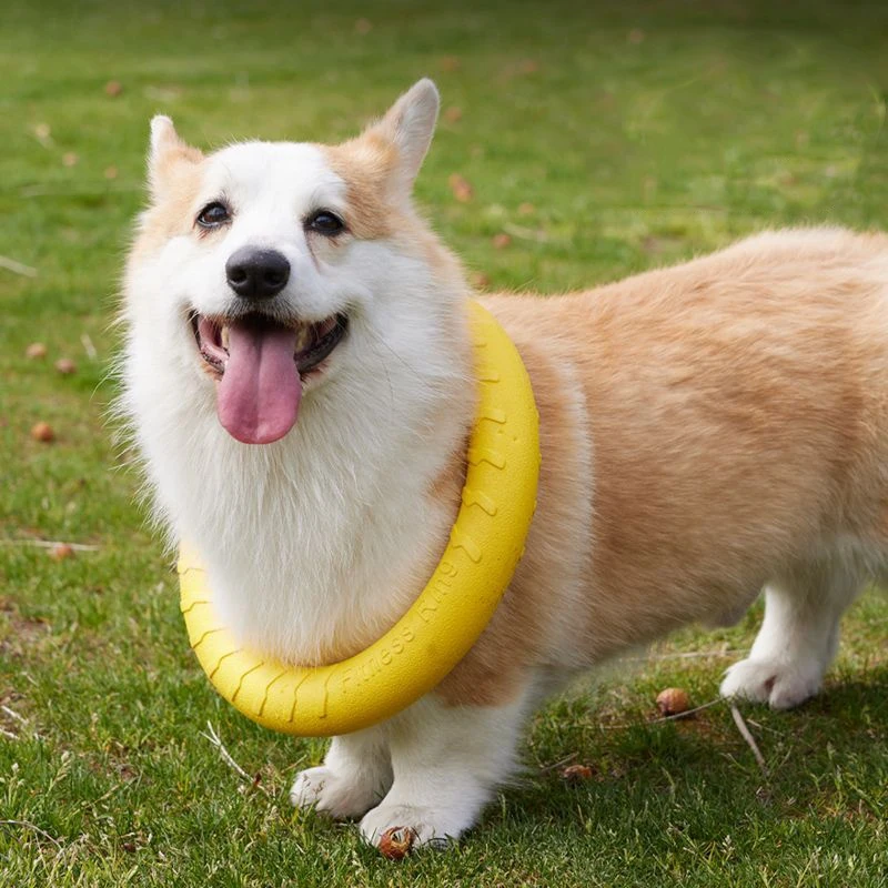 Disco Voador para Cães Flutuante Anti-Mordida para Treinamento - Imagem 2