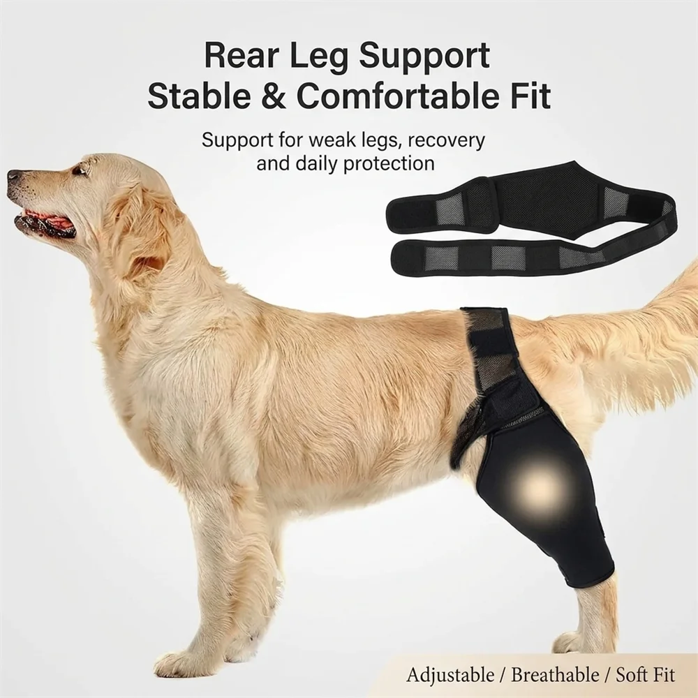 Suporte de Perna para Cães Grandes Ajustável para Pós-Cirúrgico - Imagem 2