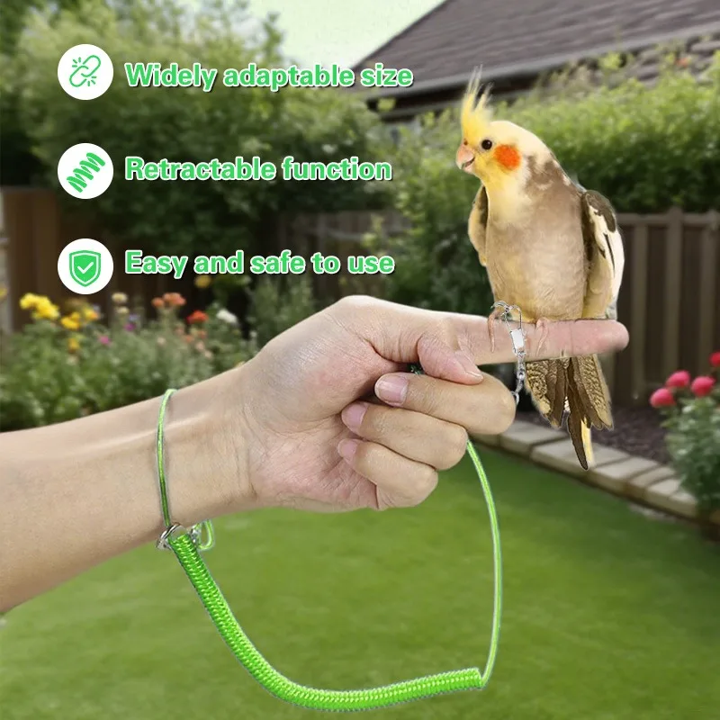 Corda de Treinamento para Pássaros Ajustável Verde Universal - Imagem 5
