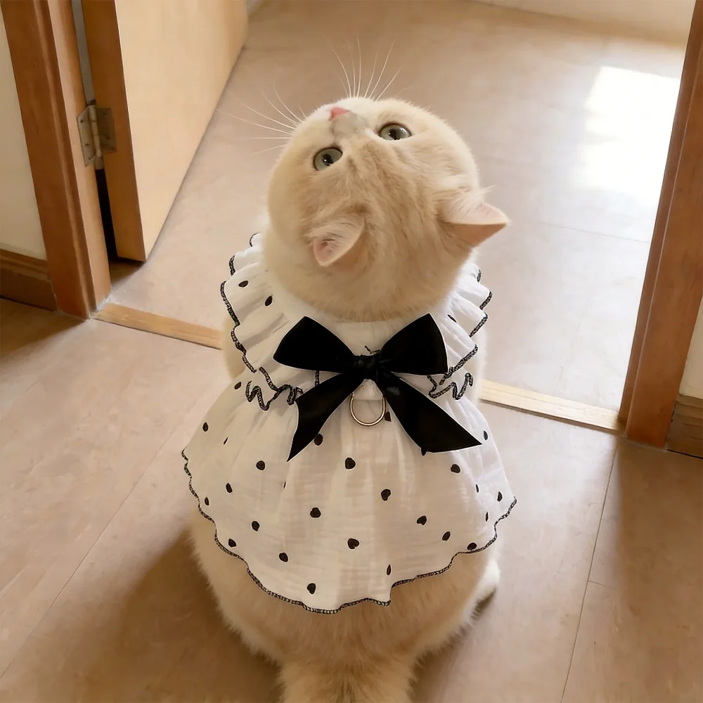 Vestido para Gatos e Cães Pequenos com Argola D para Guia e Anti-Queda de Pelos - Imagem 6